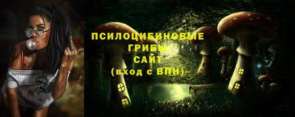 первитин Белоозёрский