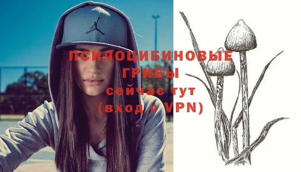 сатива Богородицк