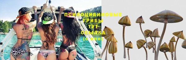 МДМА Белокуриха
