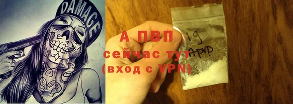 индика Осташков
